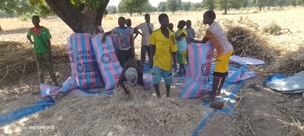 Démarrage officiel des prestations de service de broyage du Comité de Gestion Régionale (CGR) de la Boucle du Mouhoun !