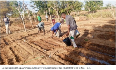 Article de presse sur l&#039;agriculture réinventée pour résister au changement climatique
