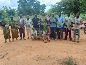 Campagne de reboisement a Arbollé