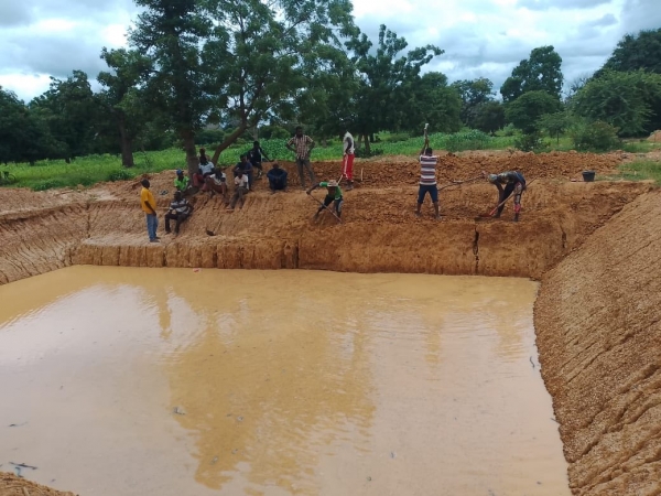 Le Bassin de Collecte des Eaux de Ruissellement (BCER) de Arbolle