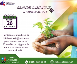 Grande campagne de reboisement