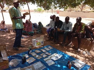 Présentation des innovations paysannes dans le projet wakat teoongo.