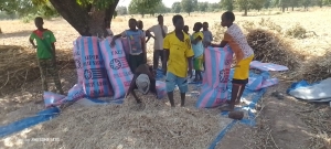 Démarrage officiel des prestations de service de broyage du Comité de Gestion Régionale (CGR) de la Boucle du Mouhoun !