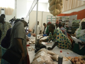 Foire aux semences locales à Koubri