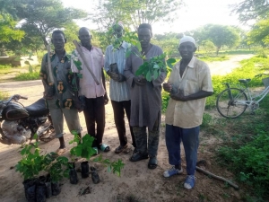 Campagne de reboisement annuelle organisée par Diobass Ecologie et Société