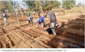 Article de presse sur l'agriculture réinventée pour résister au changement climatique