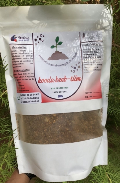 Kooda Beeb-Tiim