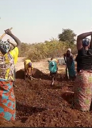Les femmes de Tiguemtinga  en pleine préparation du fumier qui rentre dans la composition de leur compost.