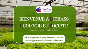 Découvrez Diobass Écologie &amp; Société