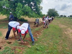 Reboisement annuelle de Diobass a la ferme agro écologique