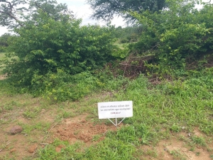 La ferme prend forme jour après jours