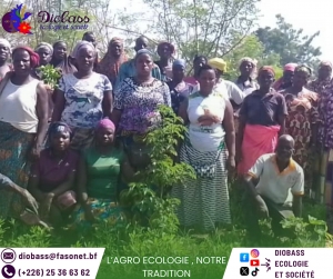 Journée de l'arbre 2025